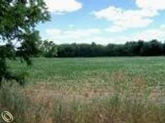 Deerfield Township MI Livingston County Land/Lot for Sale