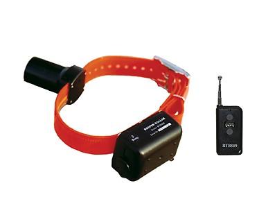 DT Systems Baritone Beeper Collar Dlx System BTB809