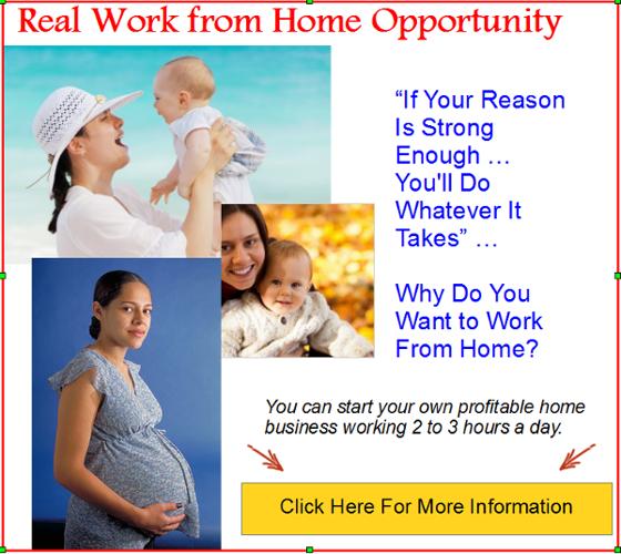 Expecting Moms: If You Could Stay Home, Would You?341
