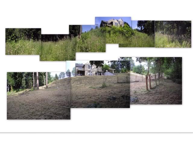 Extreme Brush Clearing. . .Oregon Brush Clearing. .Blackberry Brush Clearing . .Landscape Company