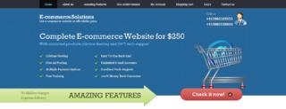 Eye-catching E-Commerce Website just @ $250.00