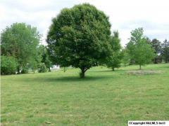 Fayetteville AL Lincoln County Land/Lot for Sale