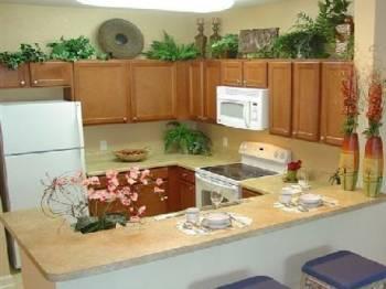 Get One Of Our 3 Night Rental For Just $99 Total