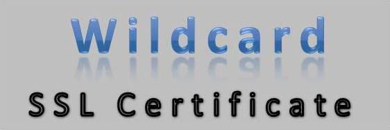 Get Wildcard SSL Certificate @ Discount Price