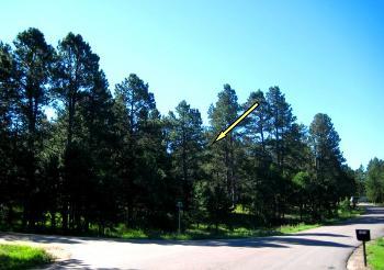 GORGEOUS LAND IN GREAT LOCATION! Lot/Land in Colorado Springs CO