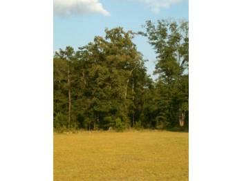 Great 2 Acre Lot Just Waiting For Your House Plans!