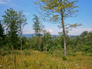 Great Elevation2.4 +/- Acres in Moretown with Beautiful Views