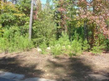 Here is an AMAZING lot to build your dream home! Tons of privacy around and some nice waterviews!