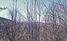 Hiawassee GA Towns County Land/Lot for Sale