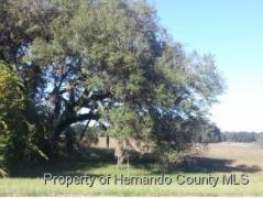 Hudson FL Pasco County Land/Lot for Sale