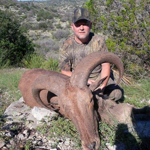 HUNTING (Free Range Aoudad Elk Deer and More!)