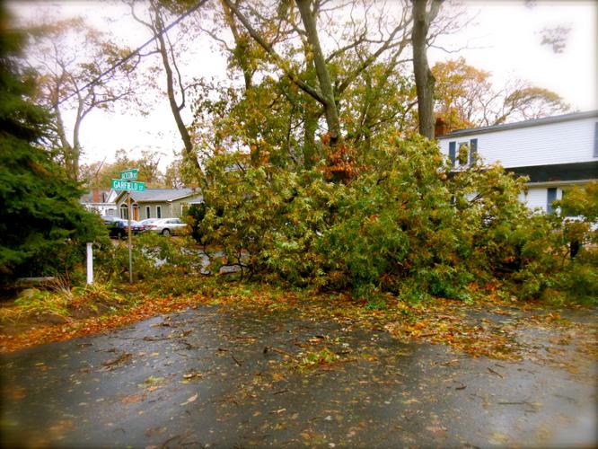 Hurricane Sandy cause damage to your property..