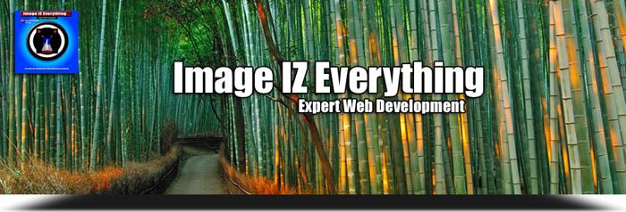 ? Image IZ Everything.com - Expert Website Development, Design, Maintenance. AVAIL 24hrs