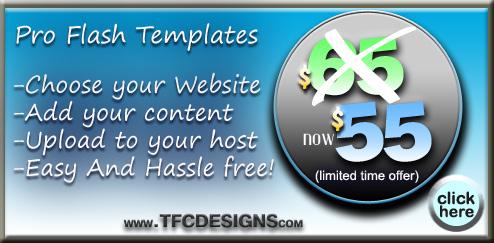 IMPACT Web Design -$65