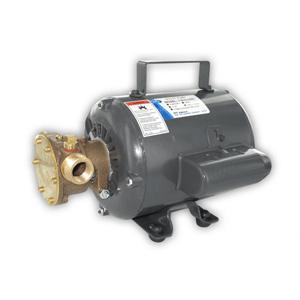 Jabsco Bronze AC Motor Pump Unit - 115v (11810-0003)