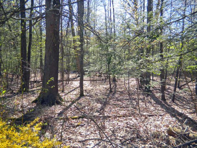 Kerhonkson .9 Acre Building Lot - Well & Septic! Walk to Minnewaska State Park! Only 13900