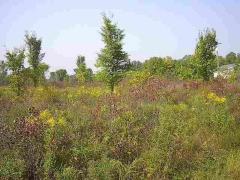 Lenox Township MI Macomb County Land/Lot for Sale