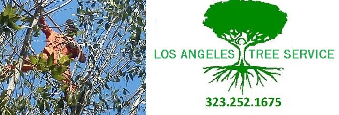 ? ? LOS ANGELES Tree Trimming Service ?