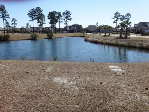 Lot 39 Coralberry Ct
