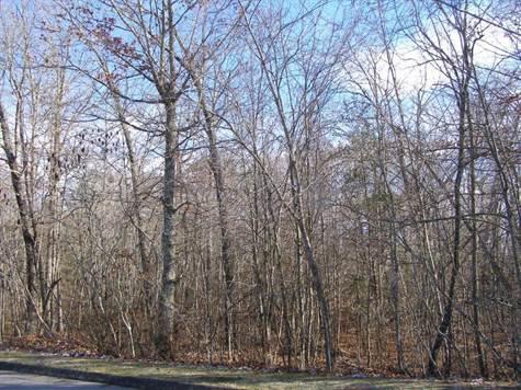Lots and Land for Sale in Crossville TN MLS#950342 33900