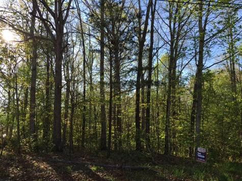 Lots and Land for Sale in Hideaway Hills MLS#922071 Crossville TN 15000