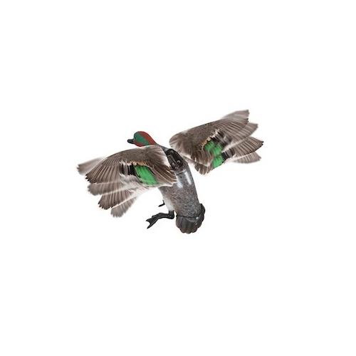 Lucky Duck (by Expedite) Rapid Flyer Teal Remote Ready 21-21012-3