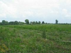 Marion Township MI Livingston County Land/Lot for Sale