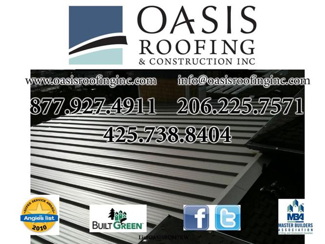 Metal Roof Professional Install a Durable Roof For Less