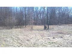 Milford MI Livingston County Land/Lot for Sale