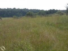Milford MI Oakland County Land/Lot for Sale