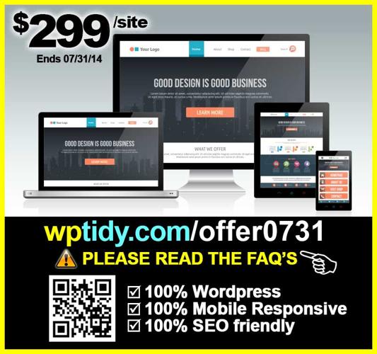 Mobile Responsive Wordpress for just $ 2 9 9