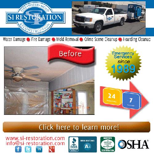 Mold removal remediation expert