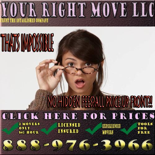 Moving laborers professionals