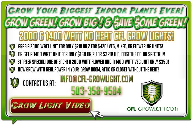 ?No HEAT! Grow Big A** Plants! 2000 watt CFL Grow Lights! ALE!?