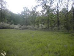 Oakland Township MI Oakland County Land/Lot for Sale