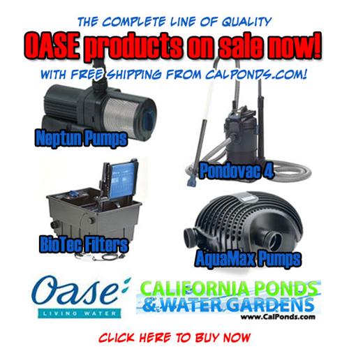 OASE BioTec Filters, Pond Supplies, Lowest Price