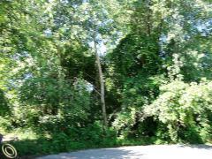 Oceola Township MI Livingston County Land/Lot for Sale