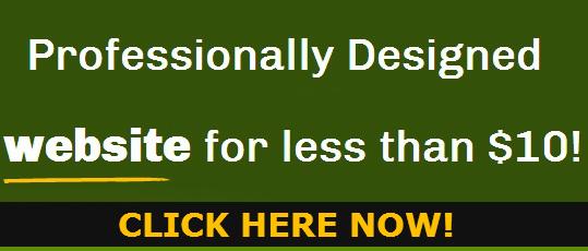 ? ONLY FOR 7 DAYS - Professional Website Design - ONLY $10 ?