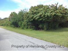 Other FL Other County Land/Lot for Sale