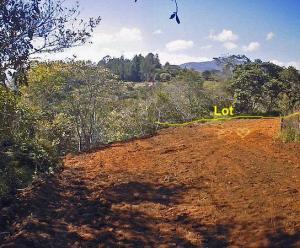 Over 3 Acres in Peaceful Area; Paraiso