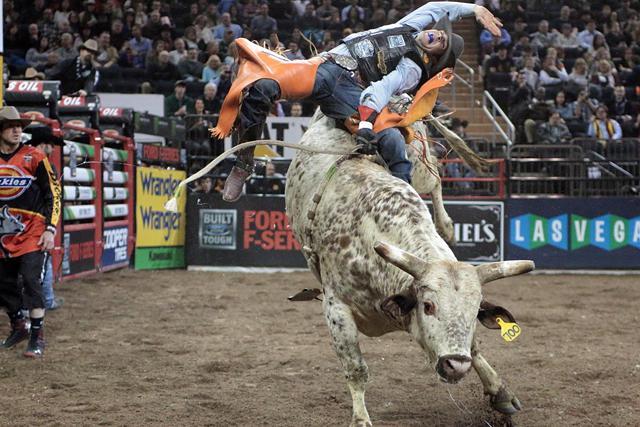 PBR - Professional Bull Riders Tickets at World Arena on 05/03/2015
