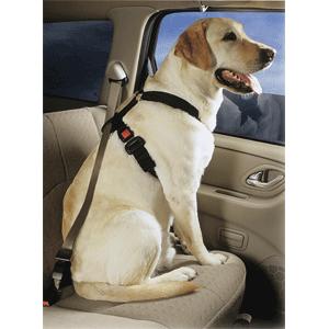 PetBuckle Universal Travel Harness - One Size Fits All (F14431)