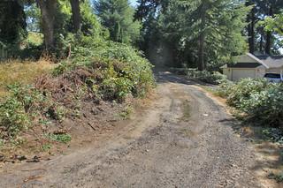Pretty quiet and peaceful lot in awesome location!! 5000 sq.ft.
