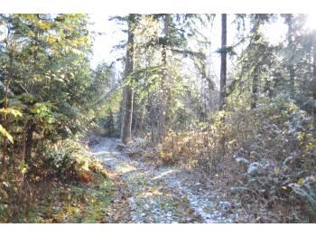 Private Acreage for Building or Recreation