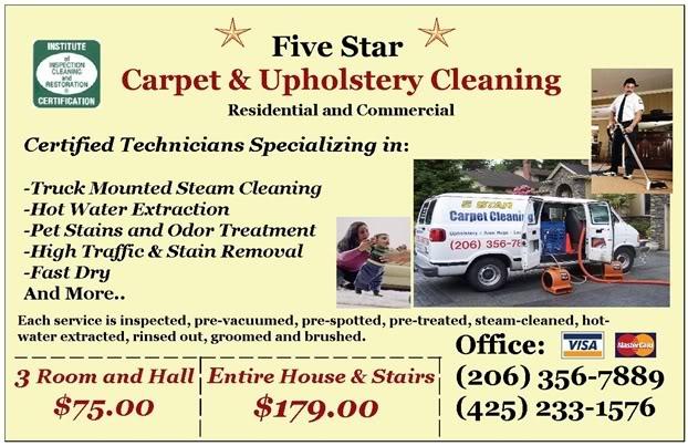 Professional Steam Truckmount CARPET and UPHOLSTERY CLEANING - Special