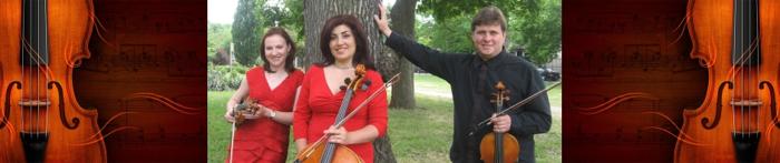 Professional String Trio or Quartet for weddings or events