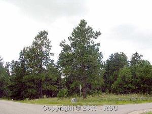 Purchase this vacant parcel in Colorado Springs to build your dream ho