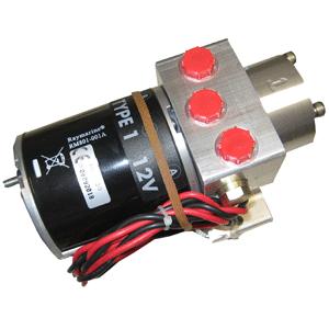 Raymarine Type 1 Pump 12V (M81120)