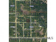 Ridge Manor FL Hernando County Land/Lot for Sale