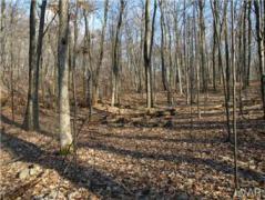 Rockland Township PA Berks County Land/Lot for Sale